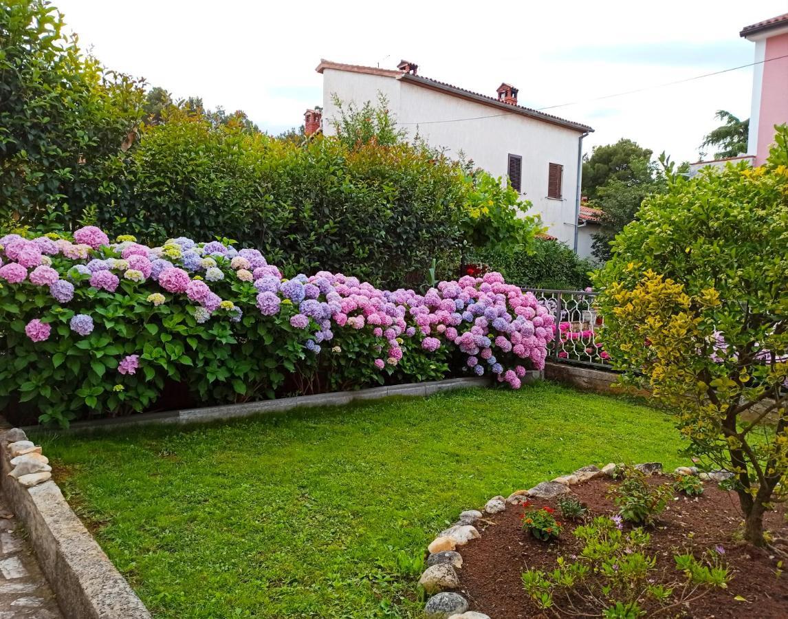 Apartments Villa Katana Пореч Екстер'єр фото